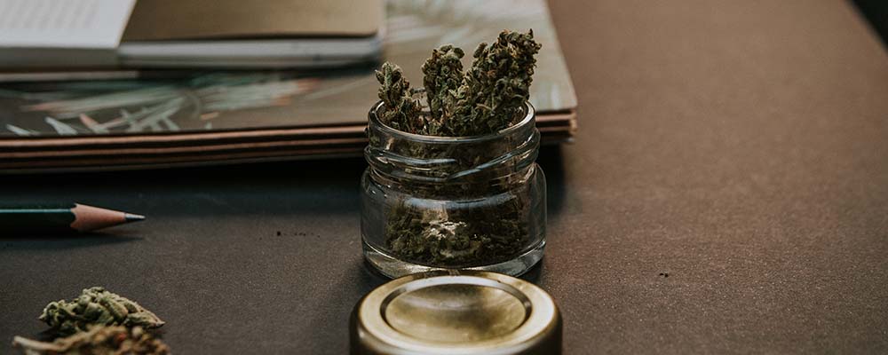 Legalized Cannabis | XPAN Law Partners